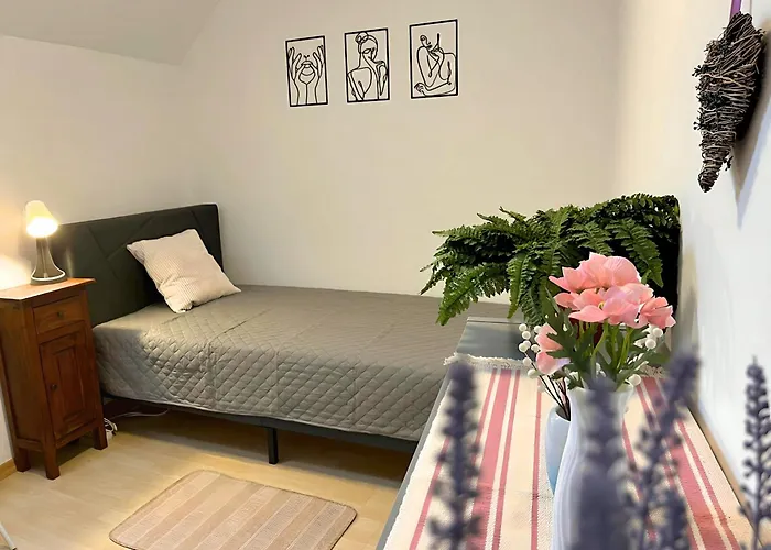 Apartamento Mi Casita